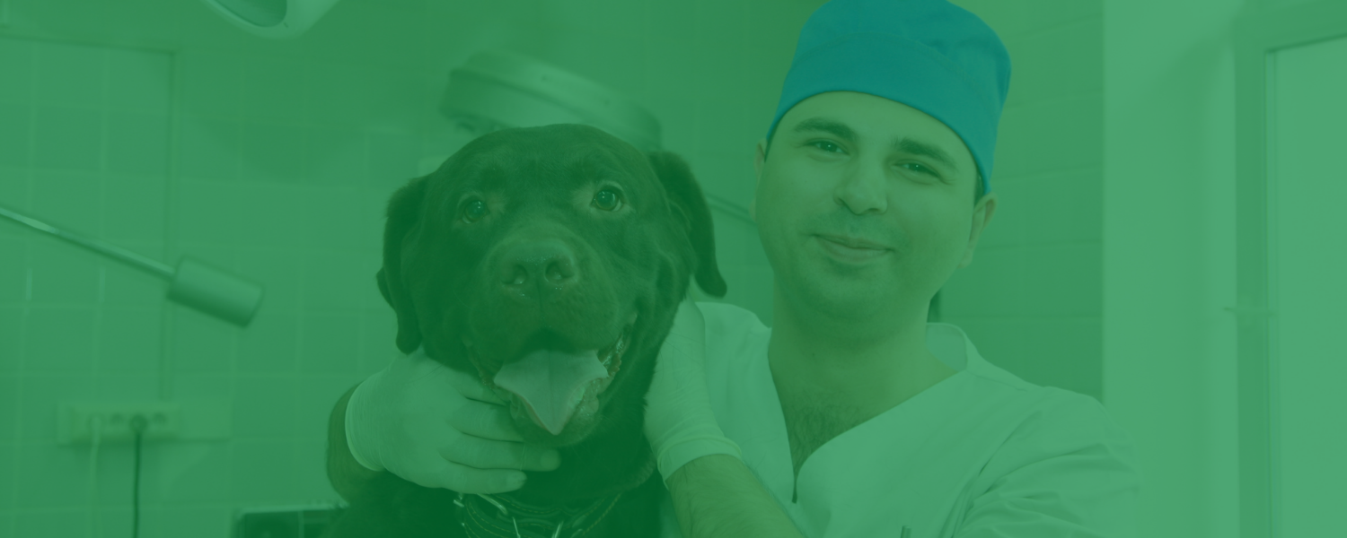 Material Veterinario